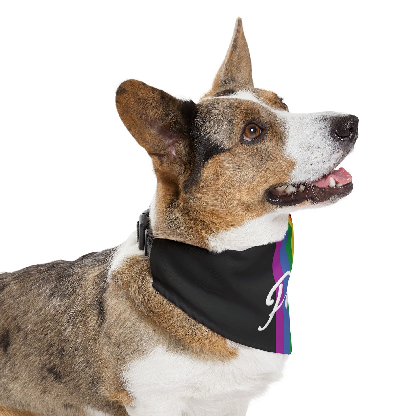 Rainbow Pride Dog Bandana Cute Gay Pride Pet Bandana Rainbow Pride LGBTQ Pride Month Apparel Dog Bandana Pride Rainbow Lesbian Pride Pet Bandana Rainbow