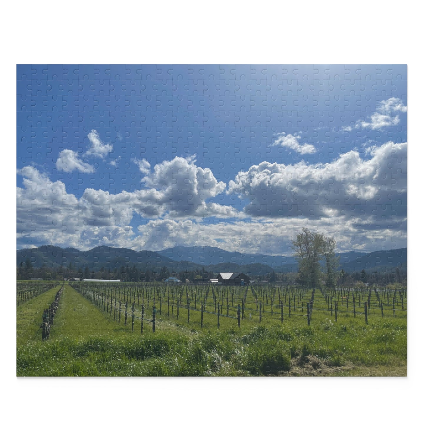 Applegate Valley wine Puzzle 120, 252, 500-Piece, Oregon Wine Country Puzzle, Southern Oregon Wine AVA Puzzle, Applegate Valley Puzzle
