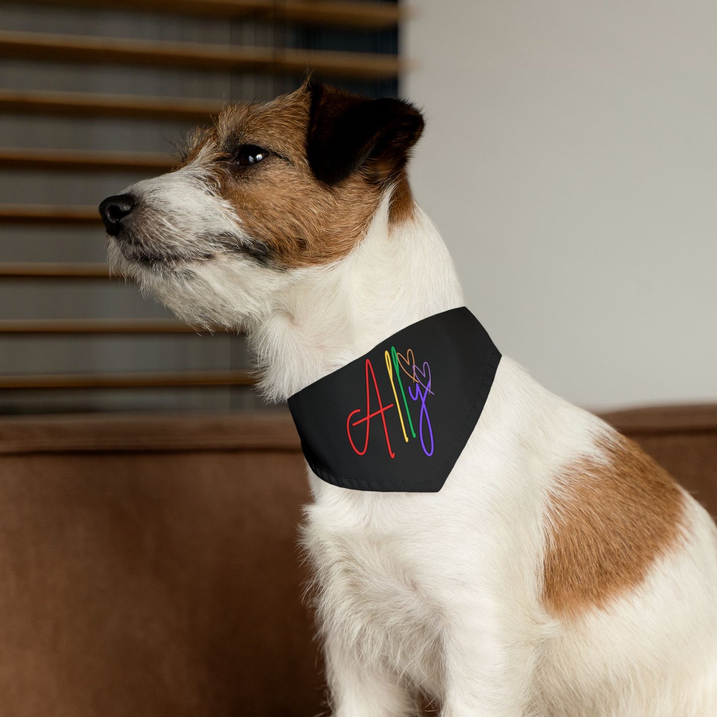 A cozy, soft scarf wrapped around a dog’s neck, featuring bright rainbow stripes for a fun ally statement.
