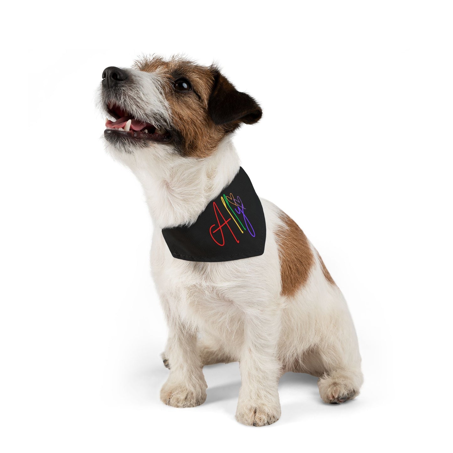 A proud pup wears a rainbow-patterned pride scarf, symbolizing unity and support for the LGBTQ+ community.