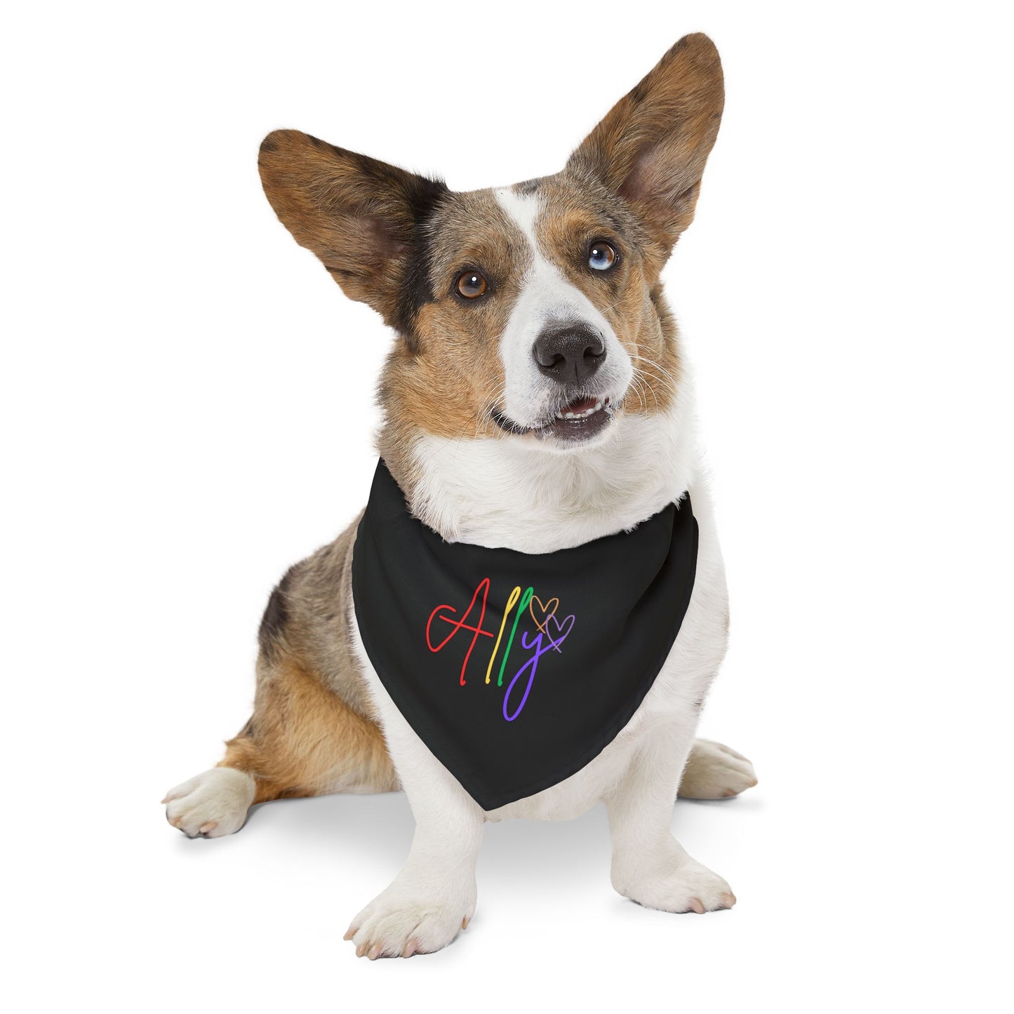 A happy dog sports a rainbow ally scarf, celebrating love, diversity, and inclusion in full color.