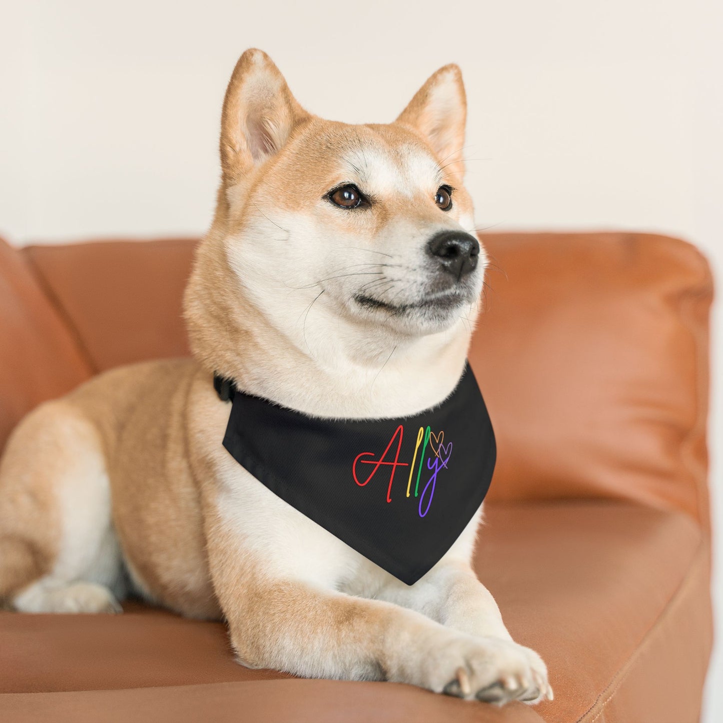 A cheerful dog rocks a vibrant rainbow bandana, standing out as an ally in the celebration of equality and love.