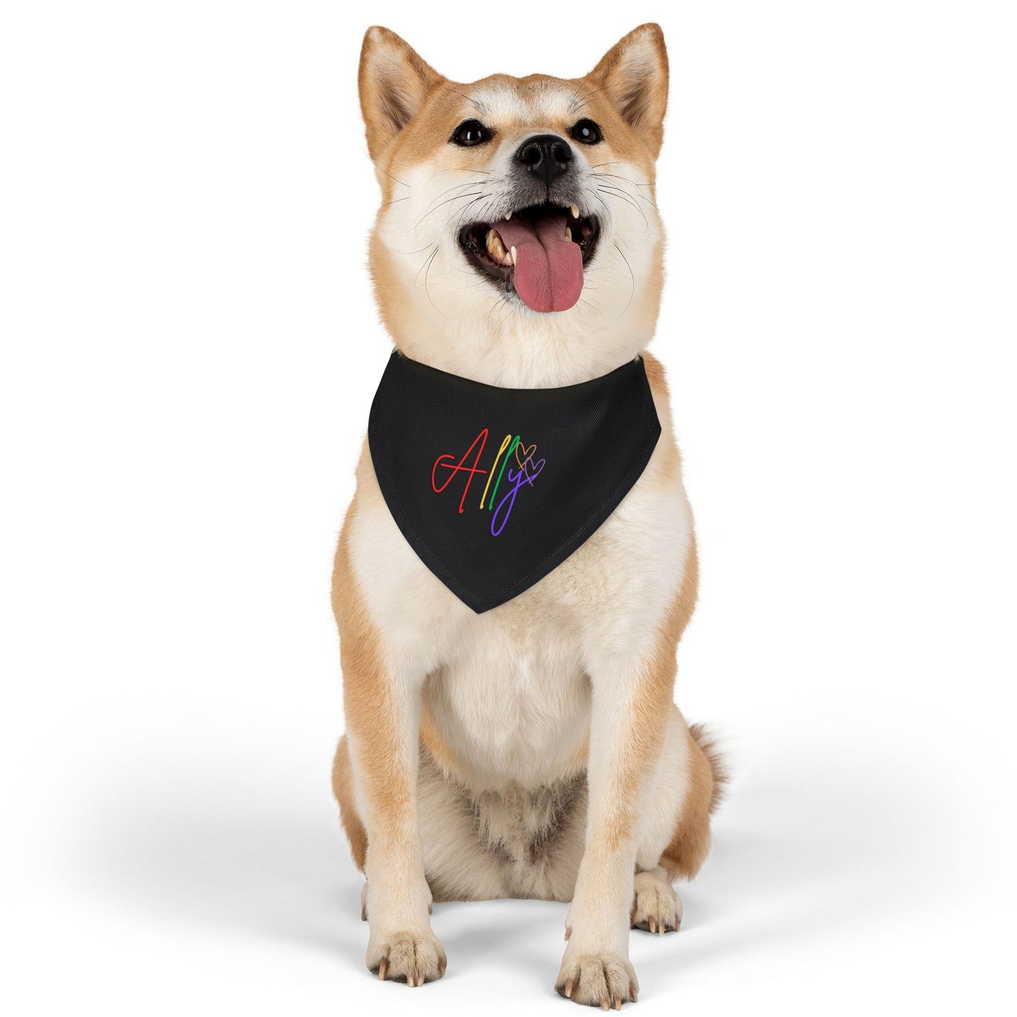 A playful pup wears a colorful rainbow bandana, proudly showing allyship and LGBTQ+ support with a bold statement