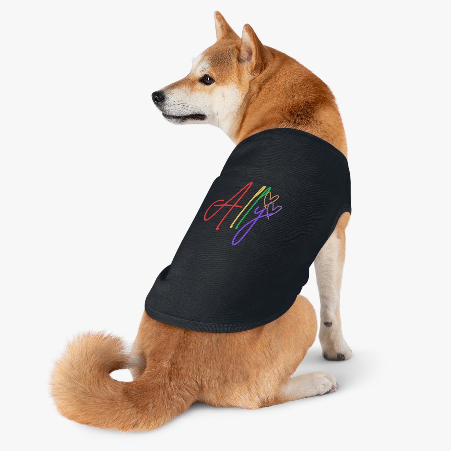 Bold & Bright Rainbow Dog Tee – A stylish pup wears a colorful pride t-shirt, standing out as a strong LGBTQ+ ally.