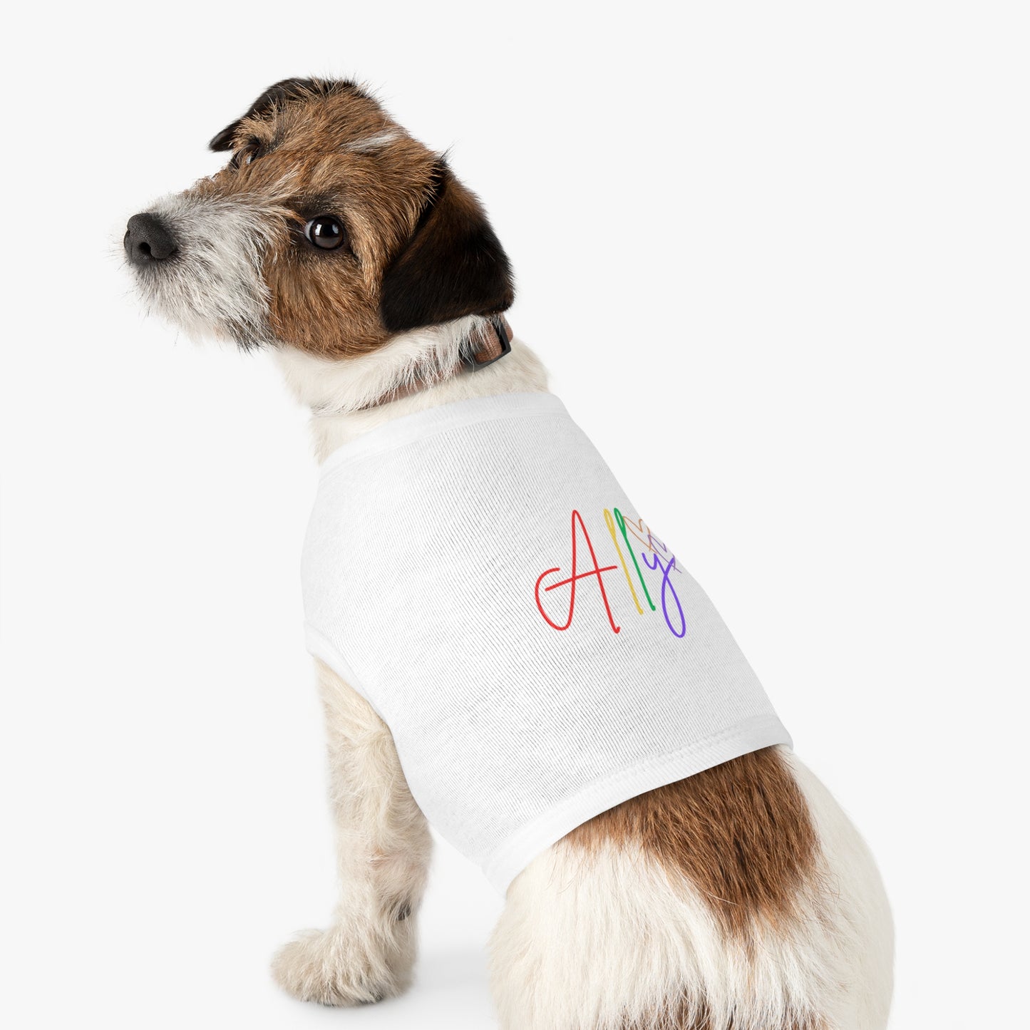A playful pup rocks a bright rainbow ally t-shirt, making a statement for love and diversity