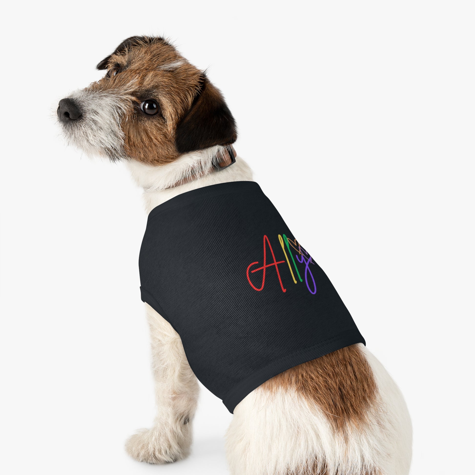 A cheerful pup wears a bold, colorful ally t-shirt, showing support for LGBTQ+ pride in a fashionable way