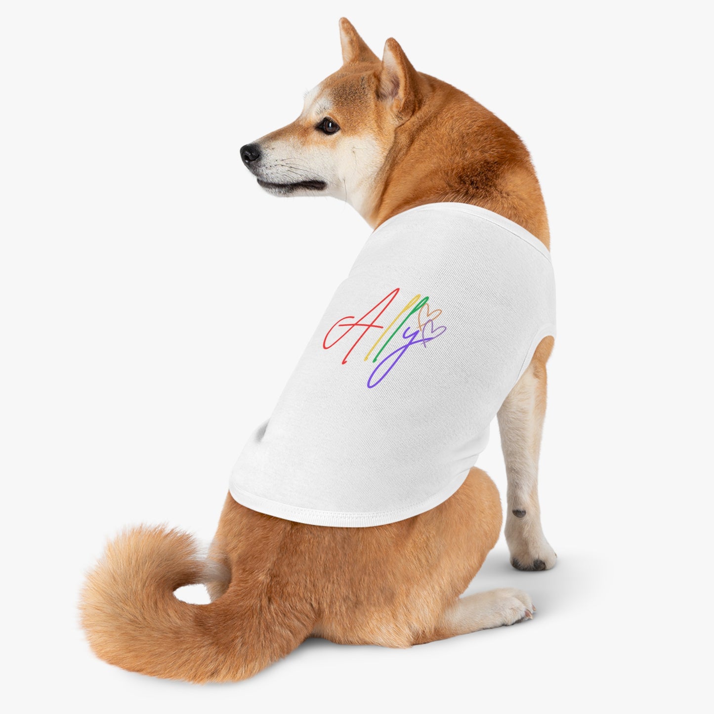 A dog proudly wears a soft and colorful pride t-shirt, championing equality and allyship with every wag.