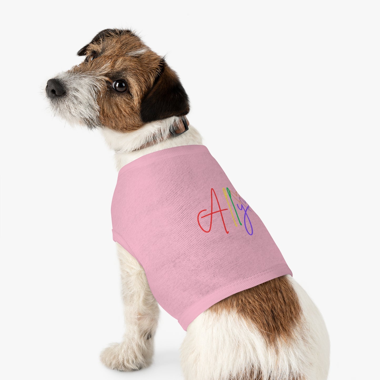A cozy, soft rainbow pride shirt designed for dogs, showcasing allyship and support for equality.