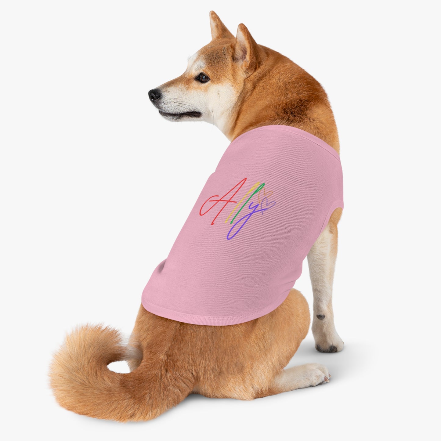 A friendly pup flaunts a rainbow ally t-shirt, spreading joy and inclusivity with every step.
