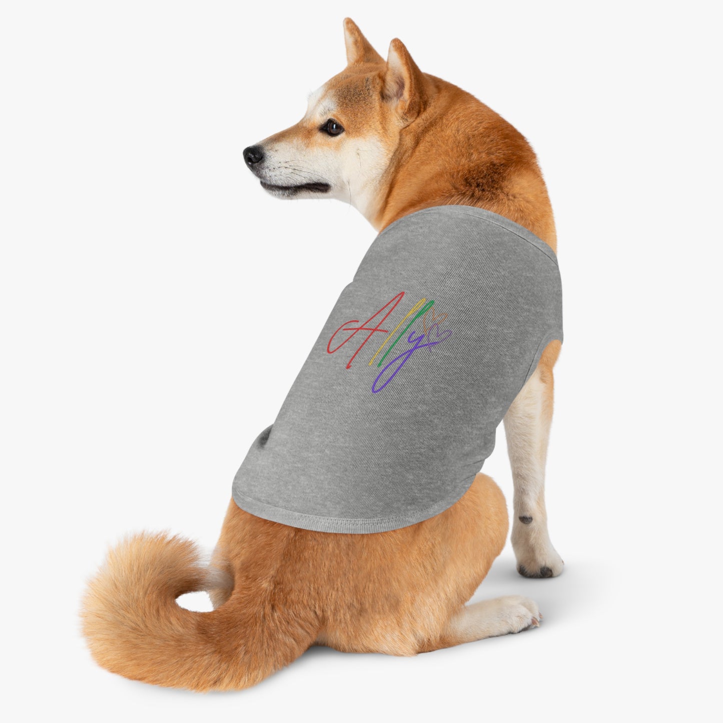 Proud Pup in Rainbow Ally T-Shirt – A happy dog wears a vibrant rainbow ally shirt, celebrating LGBTQ+ pride and inclusion in style