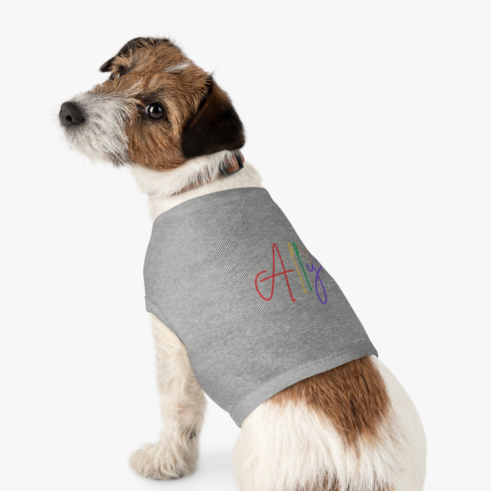 A stylish dog sports a rainbow-themed ally t-shirt, standing out as a symbol of unity and celebration.